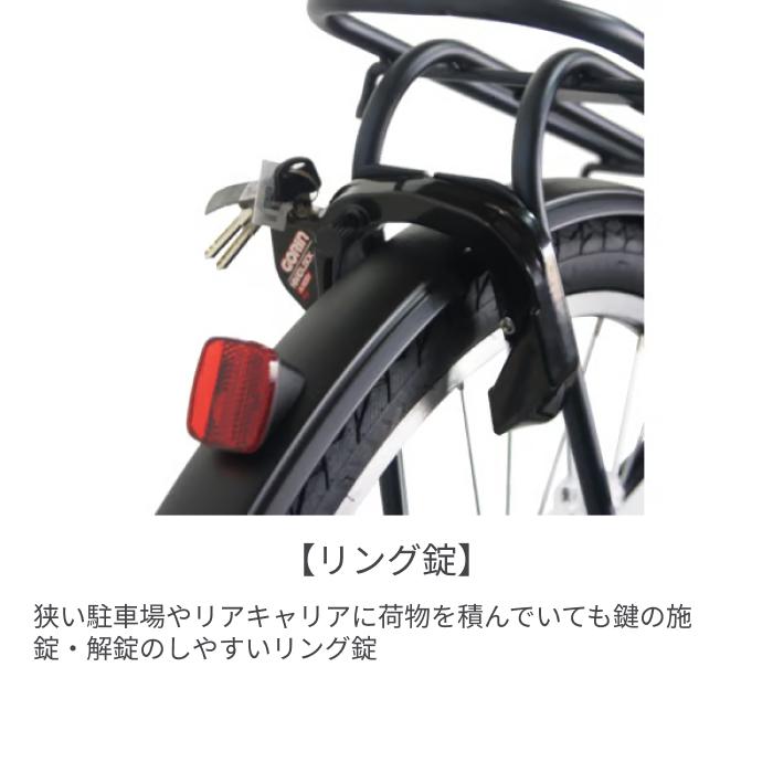 PELTECH（ペルテック） 電動自転車 26インチ X-Urban (TDF-20Z