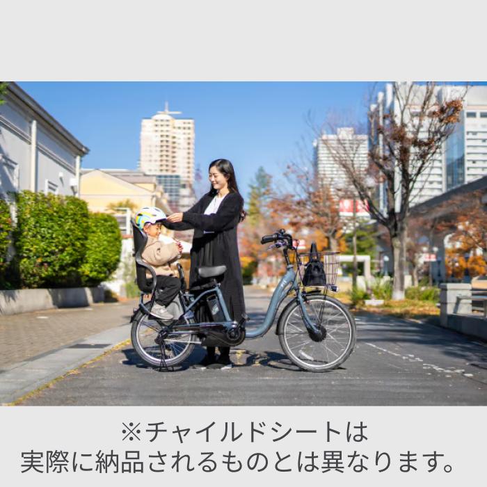PELTECH（ペルテック） 子供乗せ自転車 20インチ ヘッドレスト付 