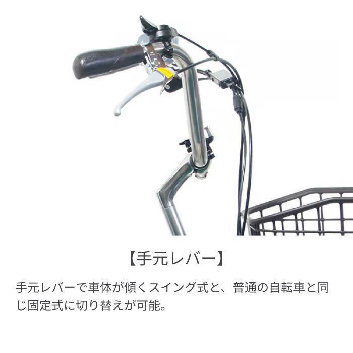 ペルテック 三輪電動アシスト自転車 Peltech TDN-163L 20×16型