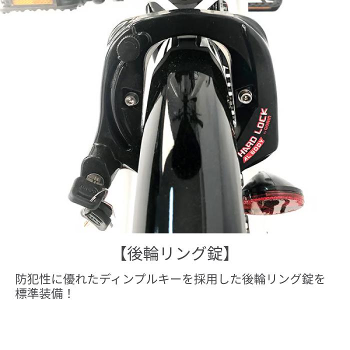 PELTECH（ペルテック） 折りたたみ自転車 20インチ TDN-206L 8Ah