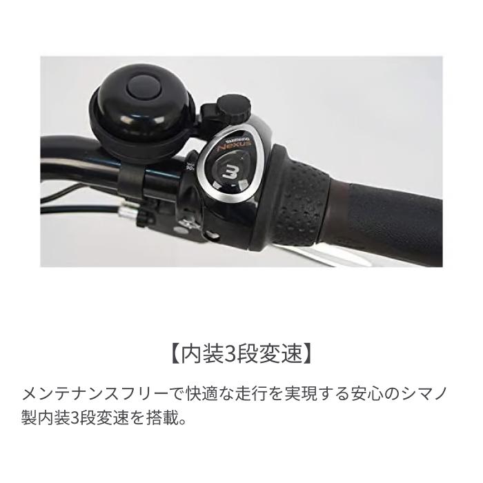 PELTECH（ペルテック） 電動自転車 20インチ TDN-207LP : 自転車通販