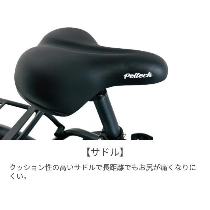 PELTECH（ペルテック） 折りたたみ自転車 20インチ TDN-246L : 自転車