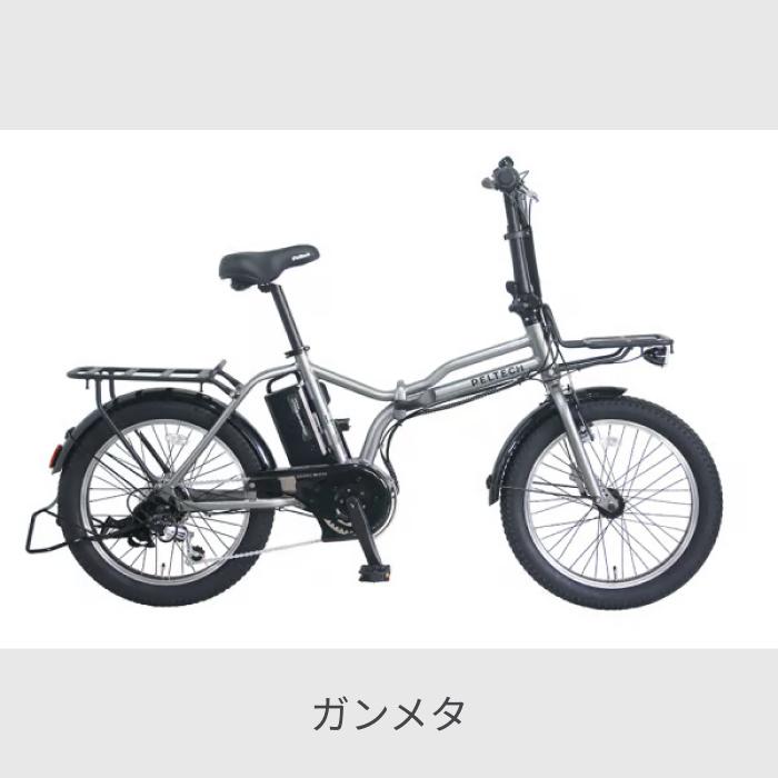 PELTECH（ペルテック） 折りたたみ自転車 20インチ TDN-246L : 自転車