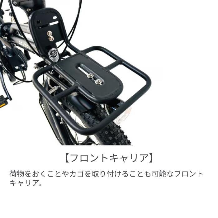 PELTECH（ペルテック） 折りたたみ自転車 20インチ TDN-246L : 自転車