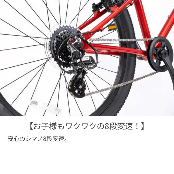 こども用自転車 ヨツバサイクル 22インチ YOTSUBA ZERO 8Sの画像
