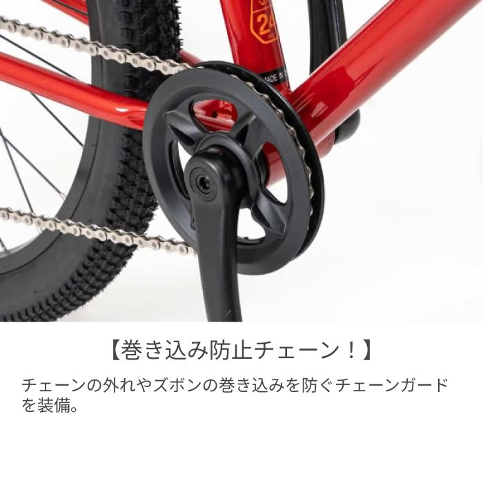こども用自転車 ヨツバサイクル 22インチ YOTSUBA ZERO 8Sの画像