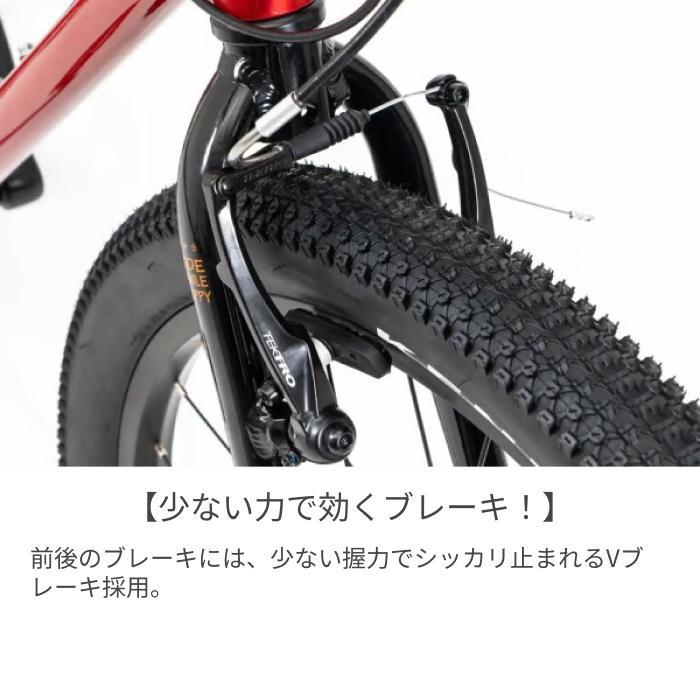 こども用自転車 ヨツバサイクル 22インチ YOTSUBA ZERO 8Sの画像