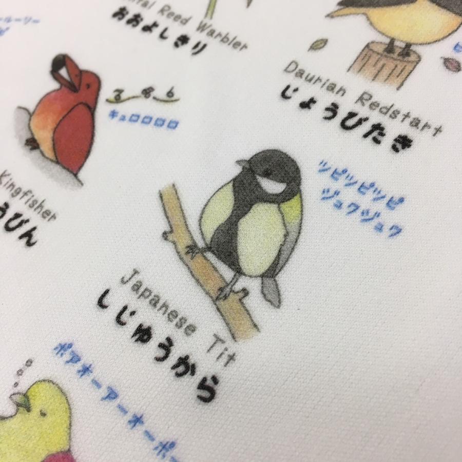 【野鳥Tシャツ】鳥ボーイズコレクションTシャツ《野鳥図鑑Tシャツ》名前や鳴き声も覚えられる♪ |  | 02