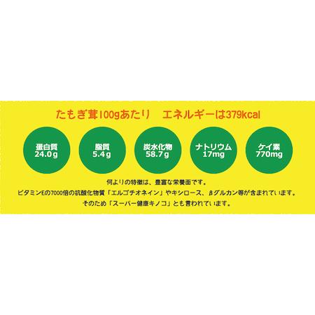 賞味期限2026年8月末】たもぎたけ タモギタケ 黄金たもぎ茸