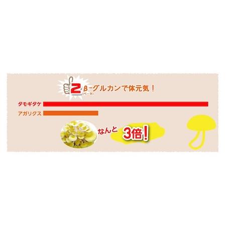 賞味期限2026年8月末】たもぎたけ タモギタケ 黄金たもぎ茸