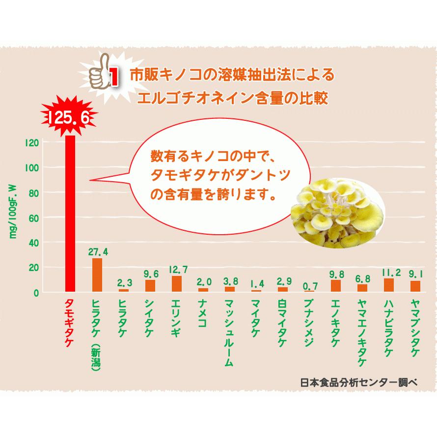 タモギタケ エルゴチオネイン 黄金たもぎ茸 お得な4袋セット タモギタケ エルゴチオネイン 黄金たもぎ茸 お得な4袋セット