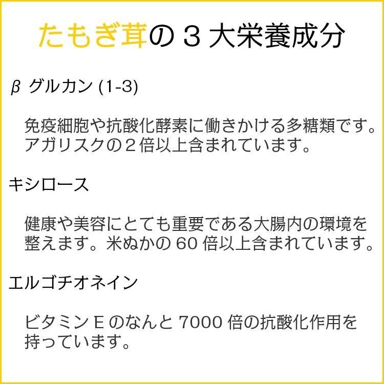 賞味期限2026年8月末】タモギタケ 黄金たもぎ茸 5袋セット 1袋360錠