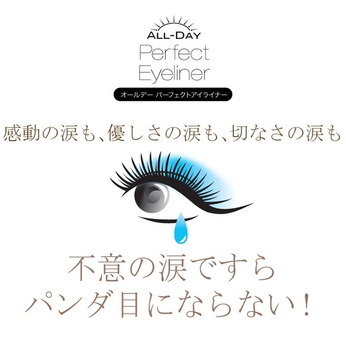 オールデーパーフェクトアイライナー【お得な3本セット(1本 3ml×3