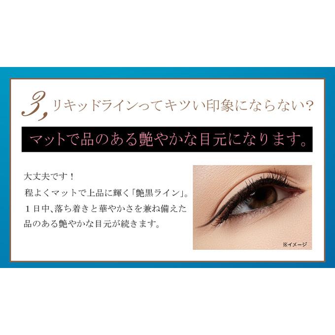 オールデー パーフェクトアイライナー 【お得な4本セット(1本 3ml×4