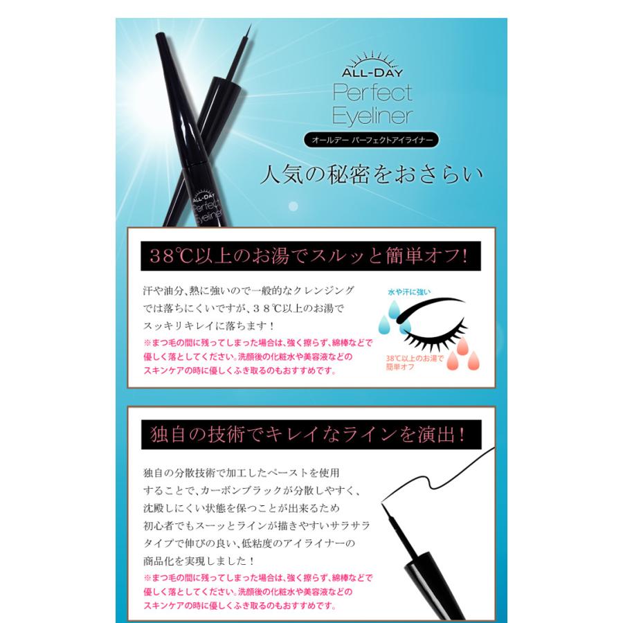 オールデーパーフェクトアイライナー 【お得な5本セット(1本 3ml×5
