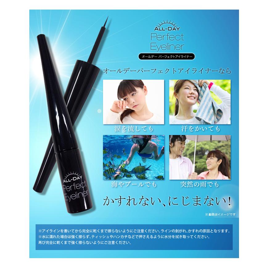 オールデー パーフェクトアイライナー 【お得な５本セット】汗・涙・擦れに強く滲まない！美しく泣ける リキッド 【カラー・ブラック（黒）】即出荷　全国送料無料 38℃の秘密 オールデーパーフェクトアイライナー 【お得な5本セット(1本 3ml×5