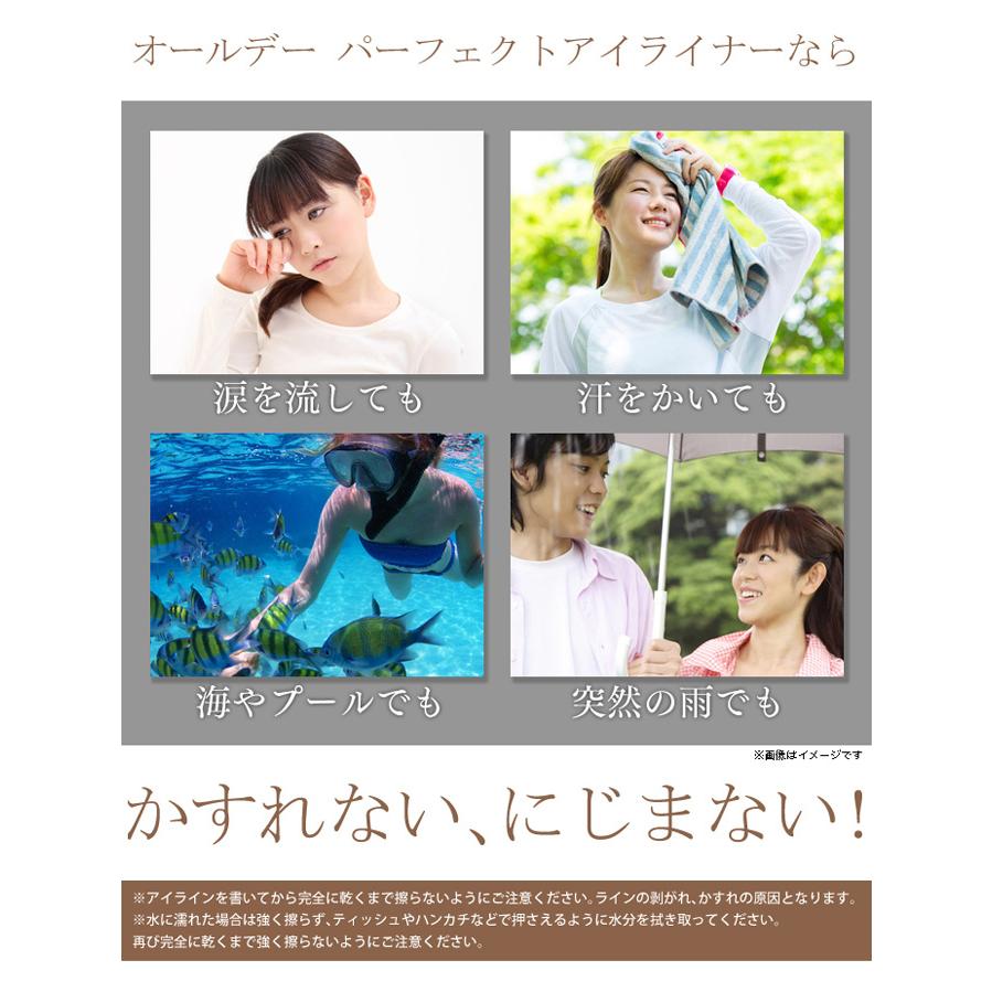 オールデーパーフェクトアイライナー【お得な6本セット(1本 3ml×6