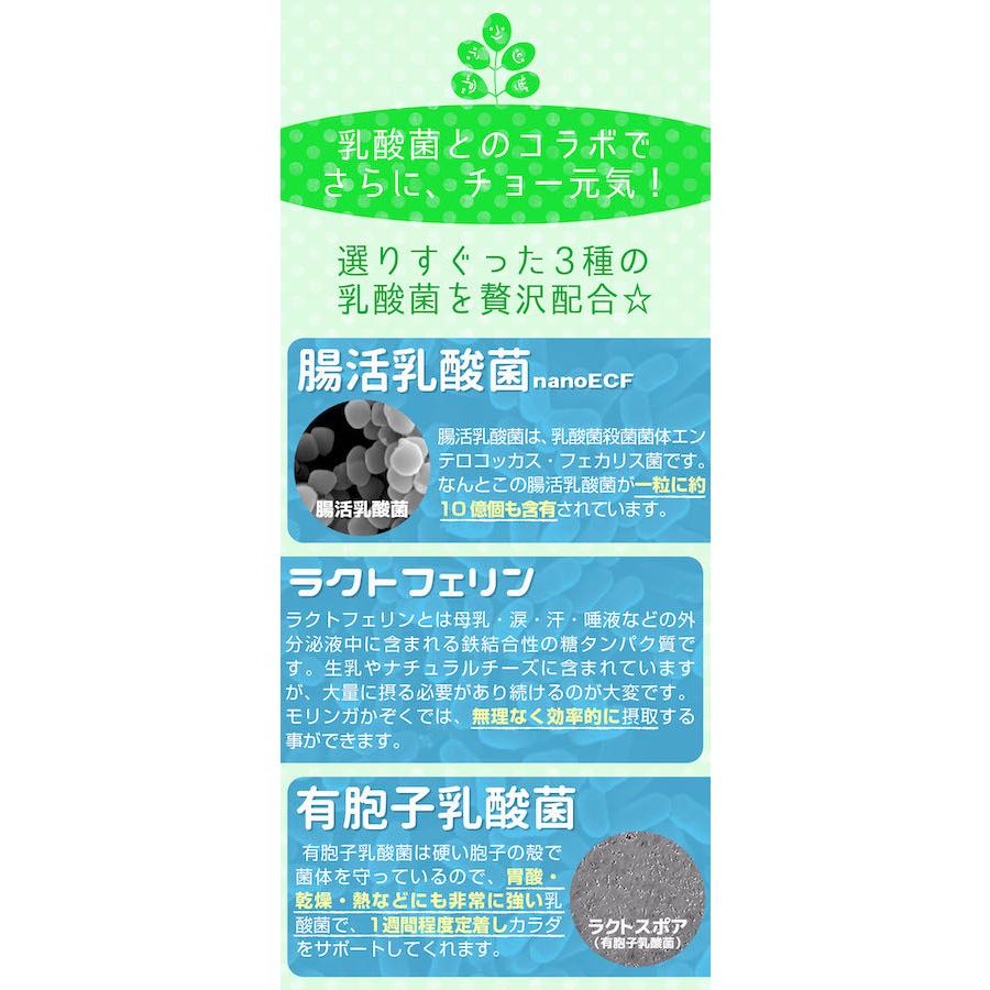 もりんが モリンガ 乳酸菌 サプリメント healthylife モリンガかぞく 
