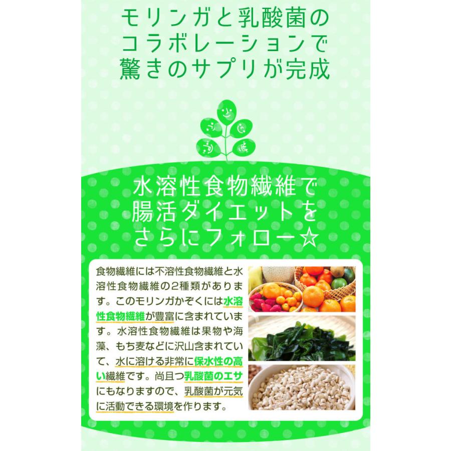 もりんが モリンガ 乳酸菌 サプリメント healthylife モリンガかぞく 