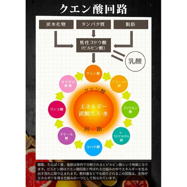 燃やしま専科（2個セット） 燃やしま専科 燃やしませんか レモン風味 2袋セット 500g×2 クエン酸