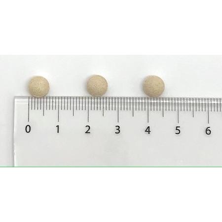 賞味期限2026年8月末まで】タモギタケ 黄金たもぎ茸 サプリメント