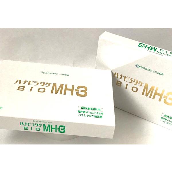 ハナビラタケ BIO MH3 ハナビラタケ はなびらたけ BIO MH-3 お得な2個セット 320mg×60