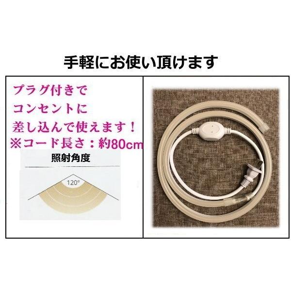 LEDネオンライト コンセントプラグ付 家庭用 100V 17M イルミネーション 屋外防水仕様 間接照明 明るい CY-SL17Mの画像