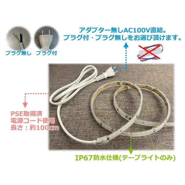 LEDテープライト アダプターフリー コンセントプラグ付 AC100V 6M 配線