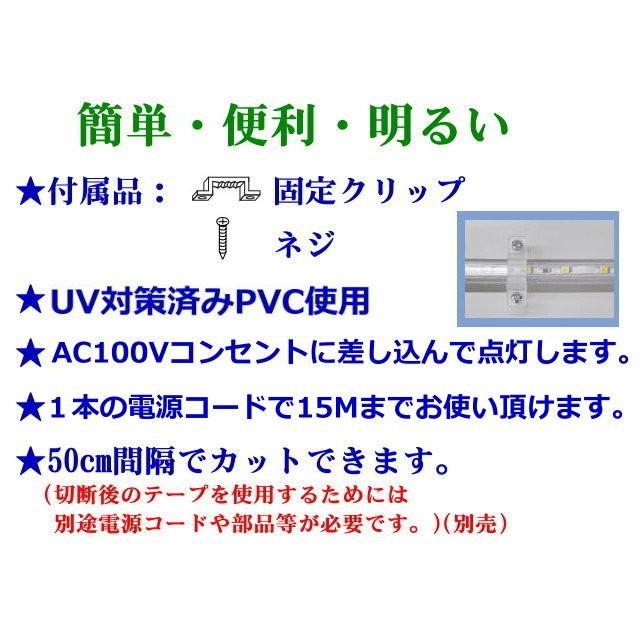 LEDテープライト 二列式 コンセントプラグ付 AC100V 5M 青色 緑色 赤色