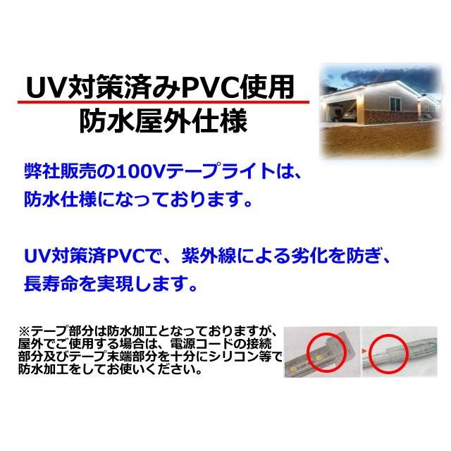 LEDテープライト 二列式 コンセントプラグ付 AC100V 5M 青色 緑色 赤色
