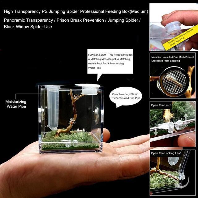 ペット用の透明な容器,魚を捕まえるためのアクリル製の穴のある餌箱,Splizardgeckos用｜cyukusou｜05