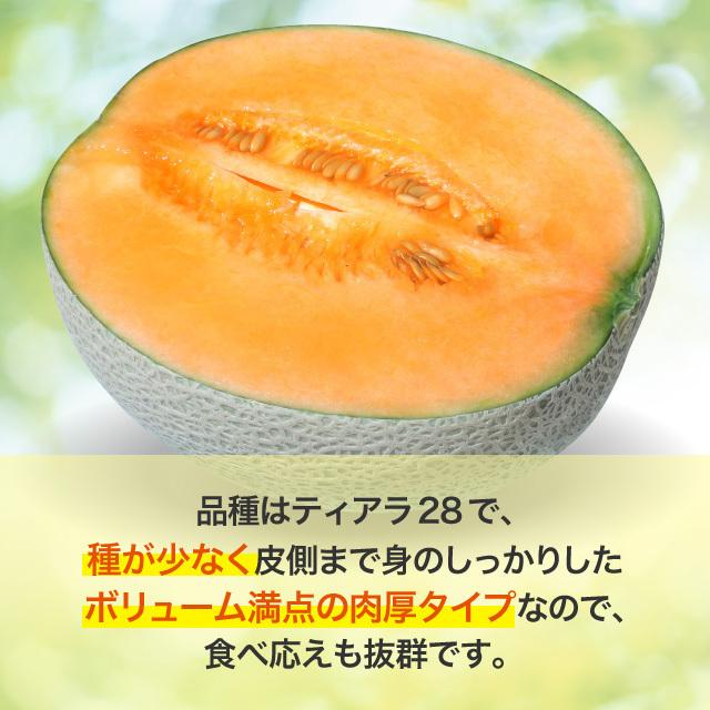 富良野山部産赤肉メロン太陽の王様2.2kg 2玉 : 帯広中央青果 - 通販