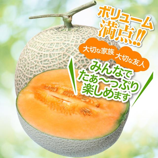 専用2箱 大サイズ 糖度19!! 「太陽の華」富良野メロン 2玉 ティアラ 優品 富良野山部産赤肉メロン太陽の王様2.2kg 3玉 : 帯広中央青果 - 通販