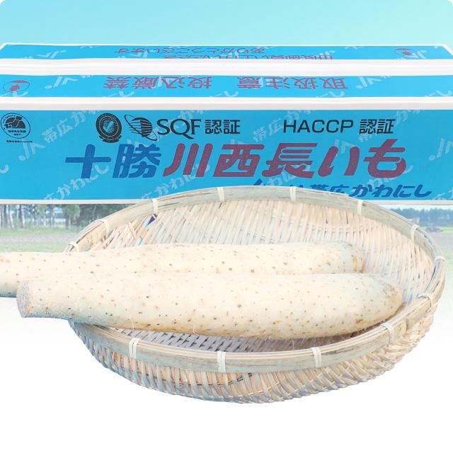 【十勝帯広川西産】長芋 5kg・1箱 |  | 01