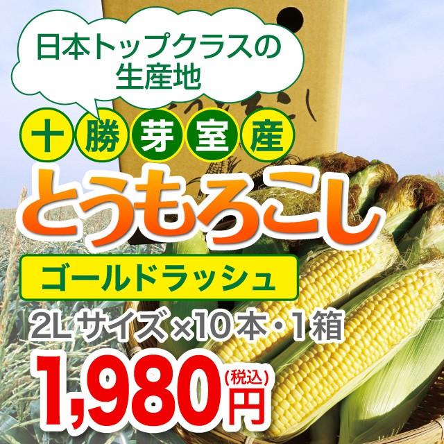 十勝芽室産】とうもろこし（ゴールドラッシュ）2Lサイズ×10本・1箱