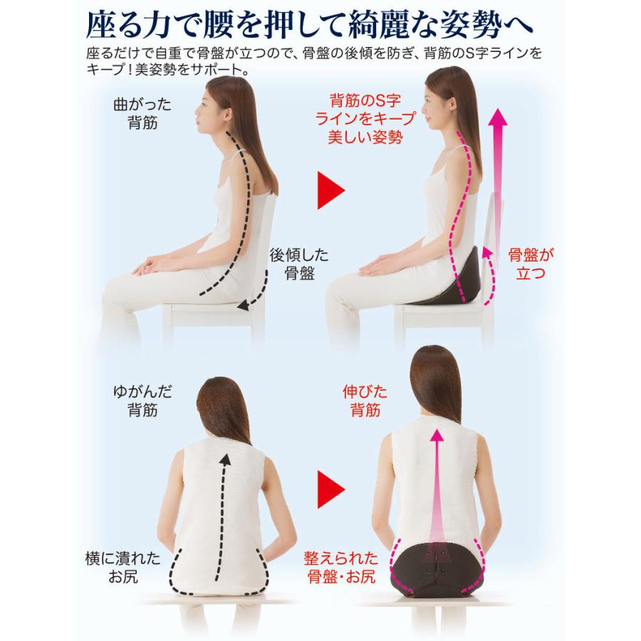 ボードクッション cosios （コシオス） 骨盤の後傾を防ぎ、背筋のS