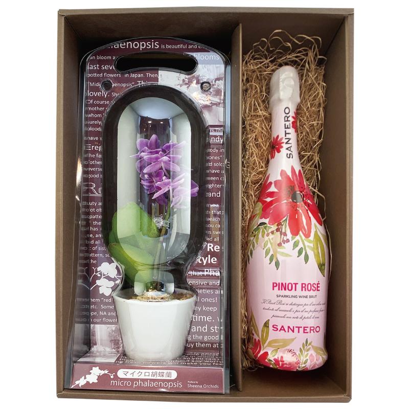 花 プレゼント ギフト マイクロ胡蝶蘭 ピンク 1本立ち サンテロ ピノ ロゼ フラワーボトル スパークリングワイン 750ml ギフトセット シャンパン ワイン Ranp ドリームクラフト 通販 Yahoo ショッピング