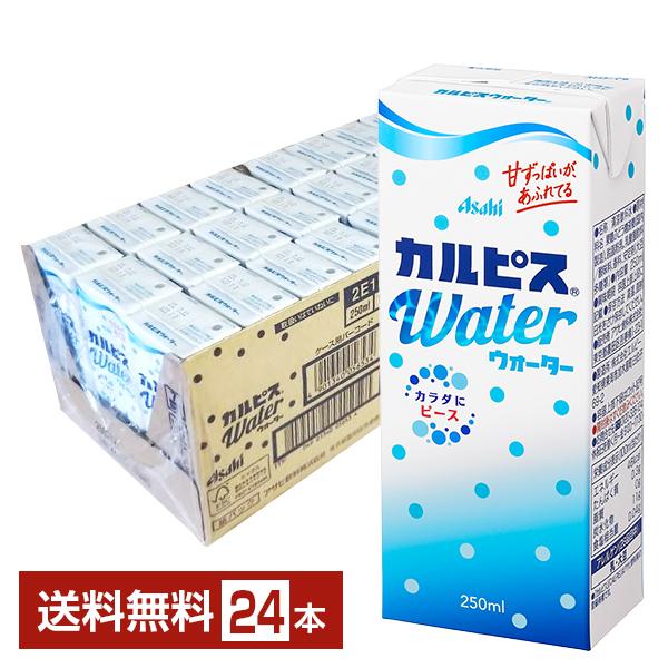 カルピス エルビー カルピスウォーター 250ml 紙パック 24本 1ケース