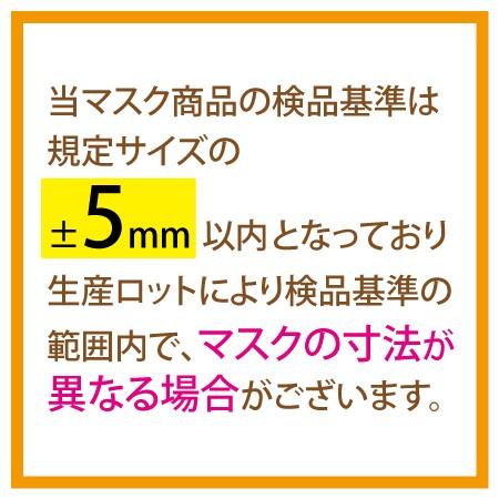 マスク 不織布 50枚 使い捨て TR3コンフォートマスク グレー 活性炭 4層 レギュラーサイズ 94×175mm 消臭｜d-fit｜08