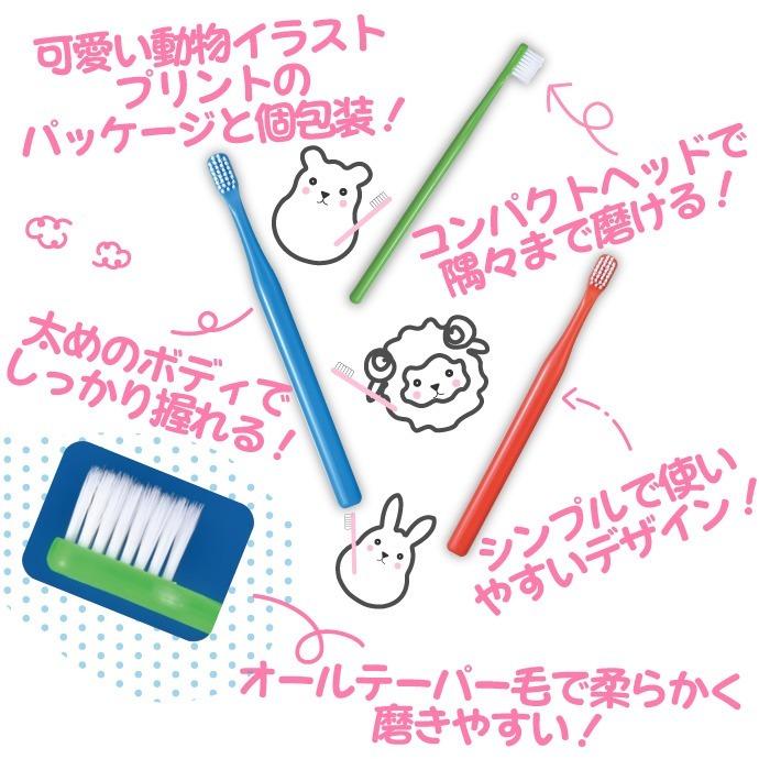 歯ブラシ デンタルコロン オールテーパー毛(超先細毛) Mふつう 30本