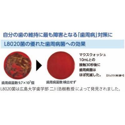 ラクレッシュ 乳酸菌L8020菌入 マイルドマウスウォッシュ(アップルミント) 1本(450ml)｜d-fit｜02