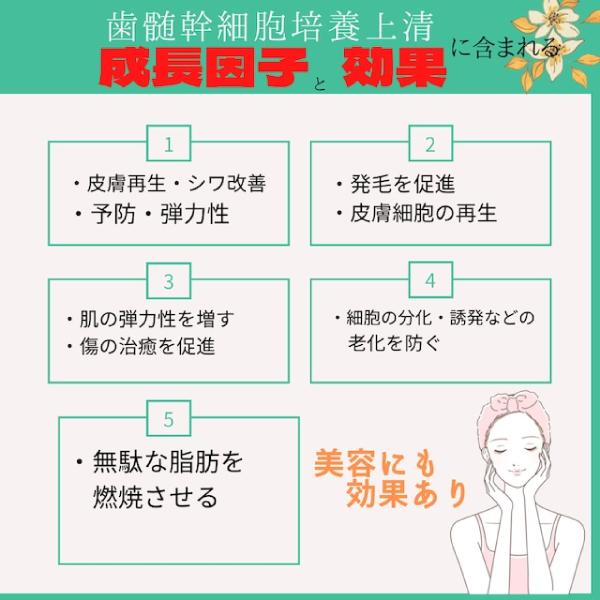 AG-I 美肌エッセンス フラーレン配合 アンチエイジング美容液 乳歯歯髄  