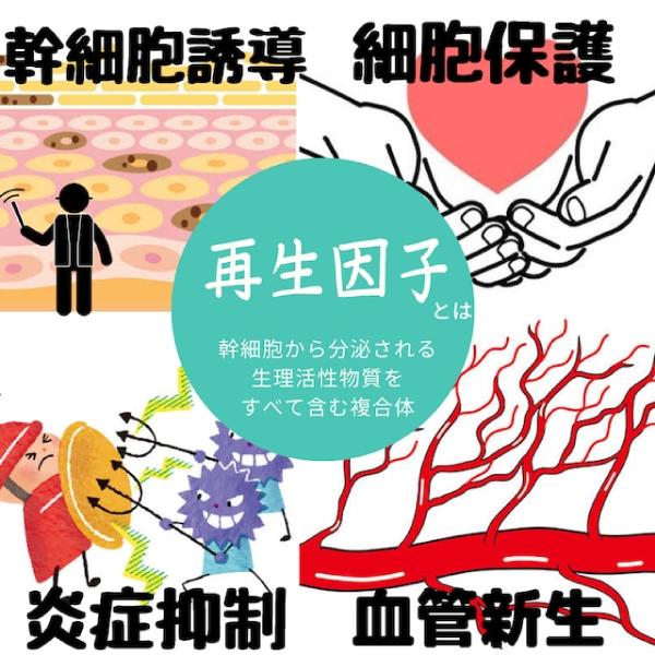 AG-I 美肌エッセンス フラーレン配合 アンチエイジング美容液 乳歯歯髄  