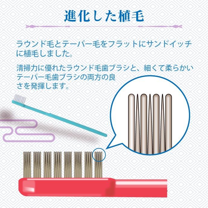 Ciメディカル 歯ブラシ Ci 202 タフテーパープレミアム Mふつう 1箱(30