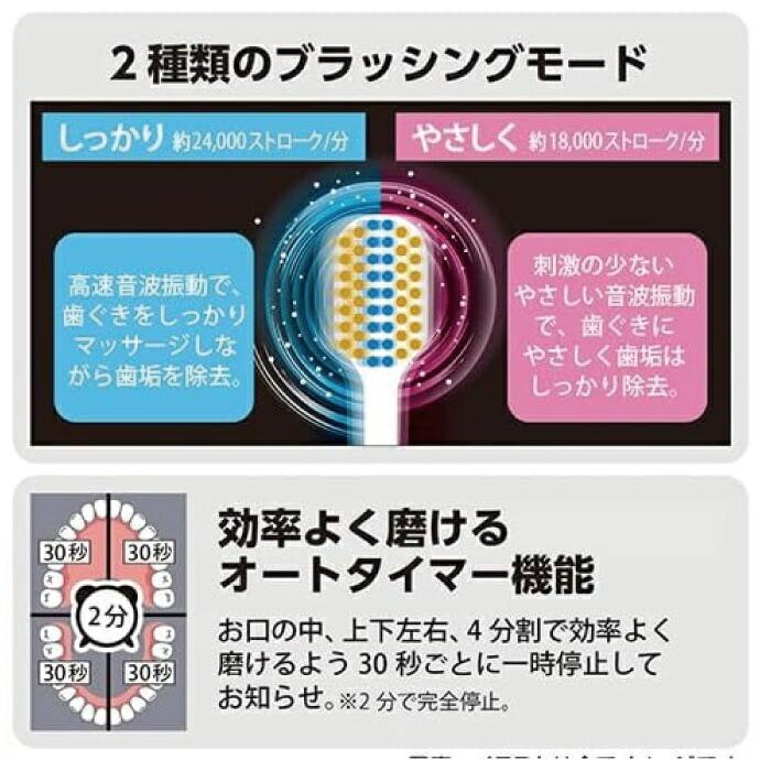 音波振動歯ブラシ エビス イー・プレミアムケア 本体 セット ebisu
