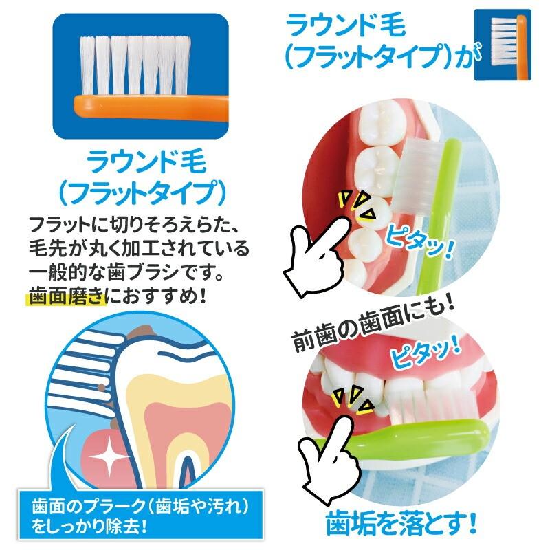 Ciメディカル 歯ブラシ Ci702 ラウンド毛 Mふつう リサとガスパール 48