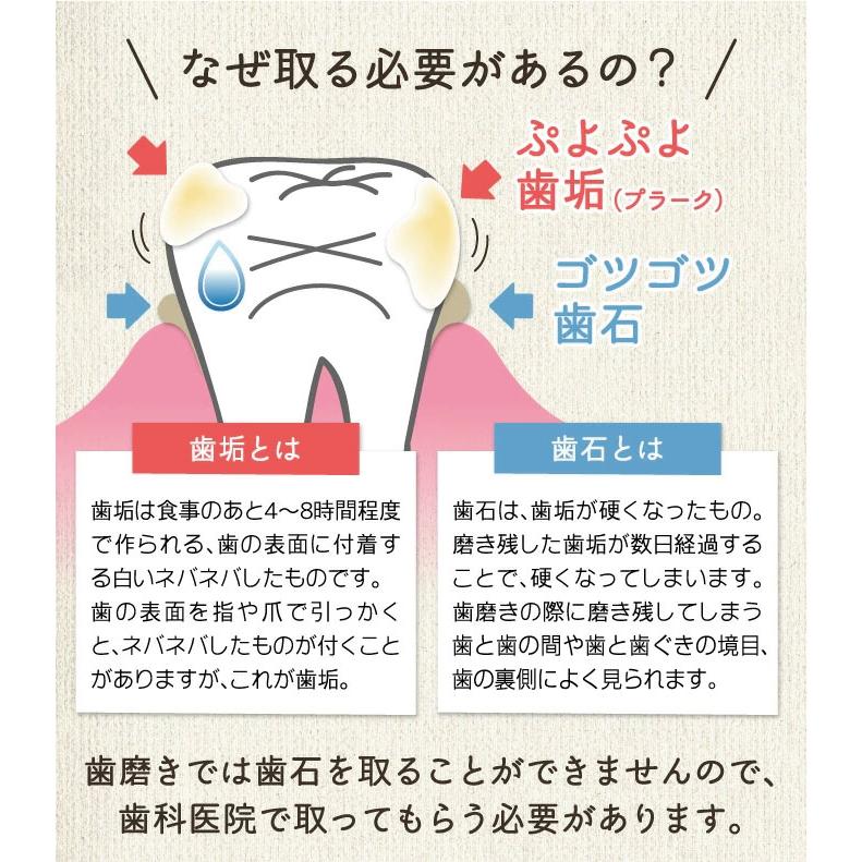 歯石取り スケーラー H5-33 実際に歯科医院で使用されているプロ仕様