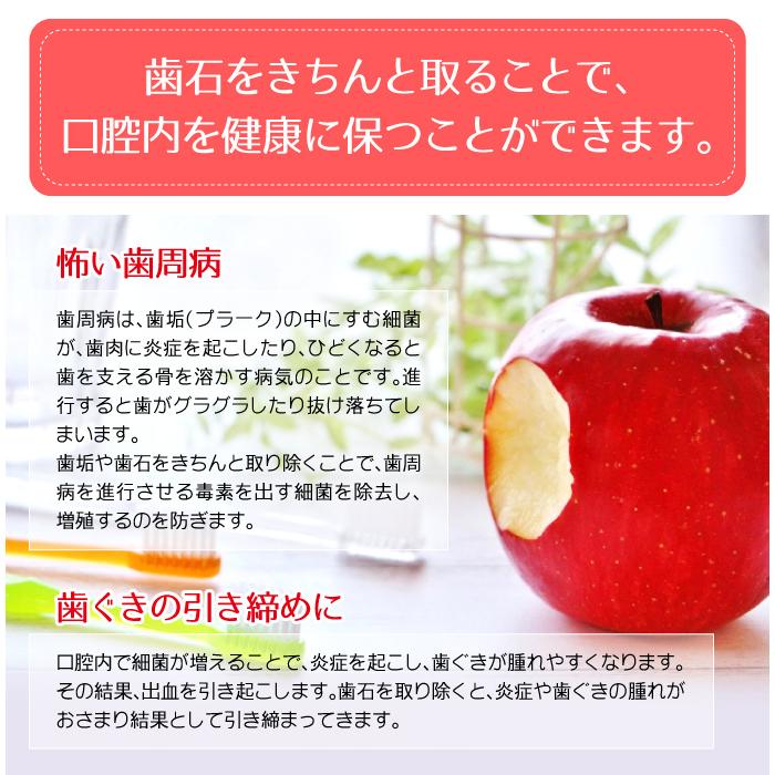 歯石取り スケーラー H5-33 実際に歯科医院で使用されているプロ仕様！ヤニ取り(メール便10点まで) |  | 04