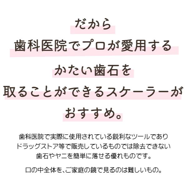 歯石取り スケーラー H5-33 実際に歯科医院で使用されているプロ仕様！ヤニ取り(メール便10点まで) |  | 06