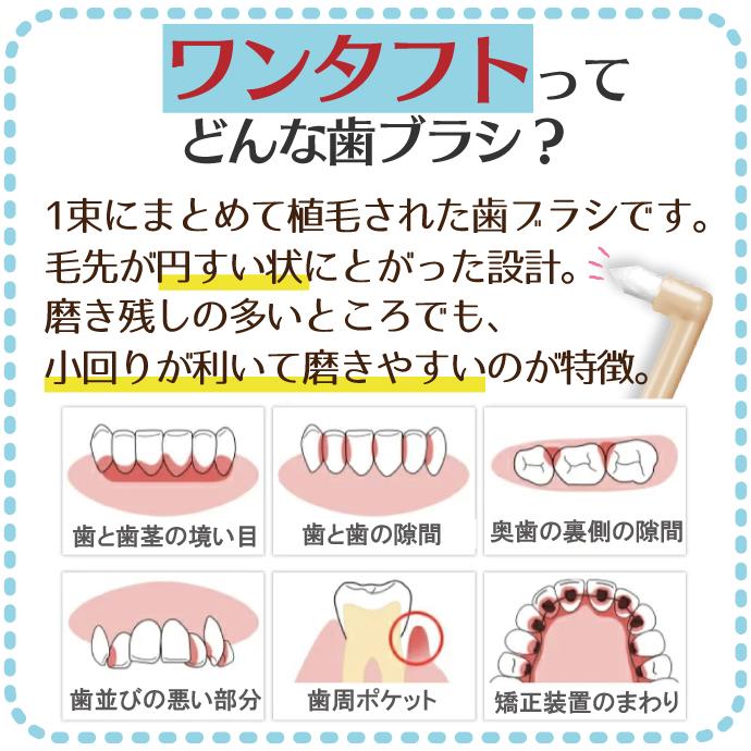 Ciメディカル 歯ブラシ ワンタフト (Miclin−ミクリン−) ふつう 1本